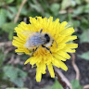 Meet your Posher, Nora